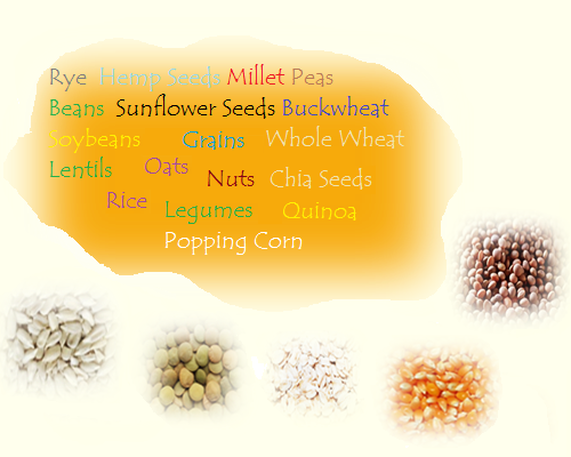 Pulses, Seeds, beans and more