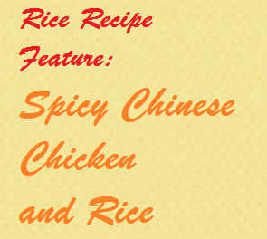 Spicy Chinese Chicken and Rice