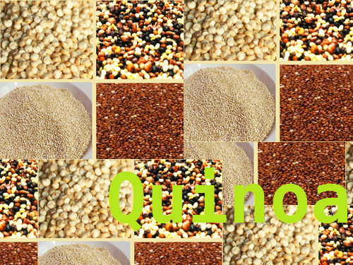 Quinoa Foods: 10 Web Links to Great Quinoa Recipes