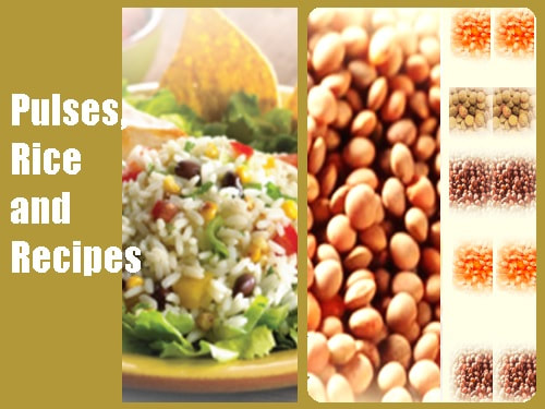 Pulses, Rice and Recipes