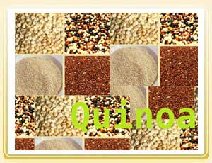 Quinoa Foods: 10 Web Links to Great Quinoa Recipes