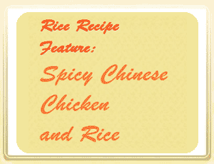 Rice Recipe Feature Spicy Chinese Chicken and Rice