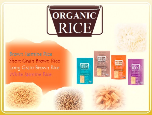 All Organic Rice Products