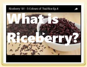 Learning-about-Thai-Rice-What-is-Riceberry